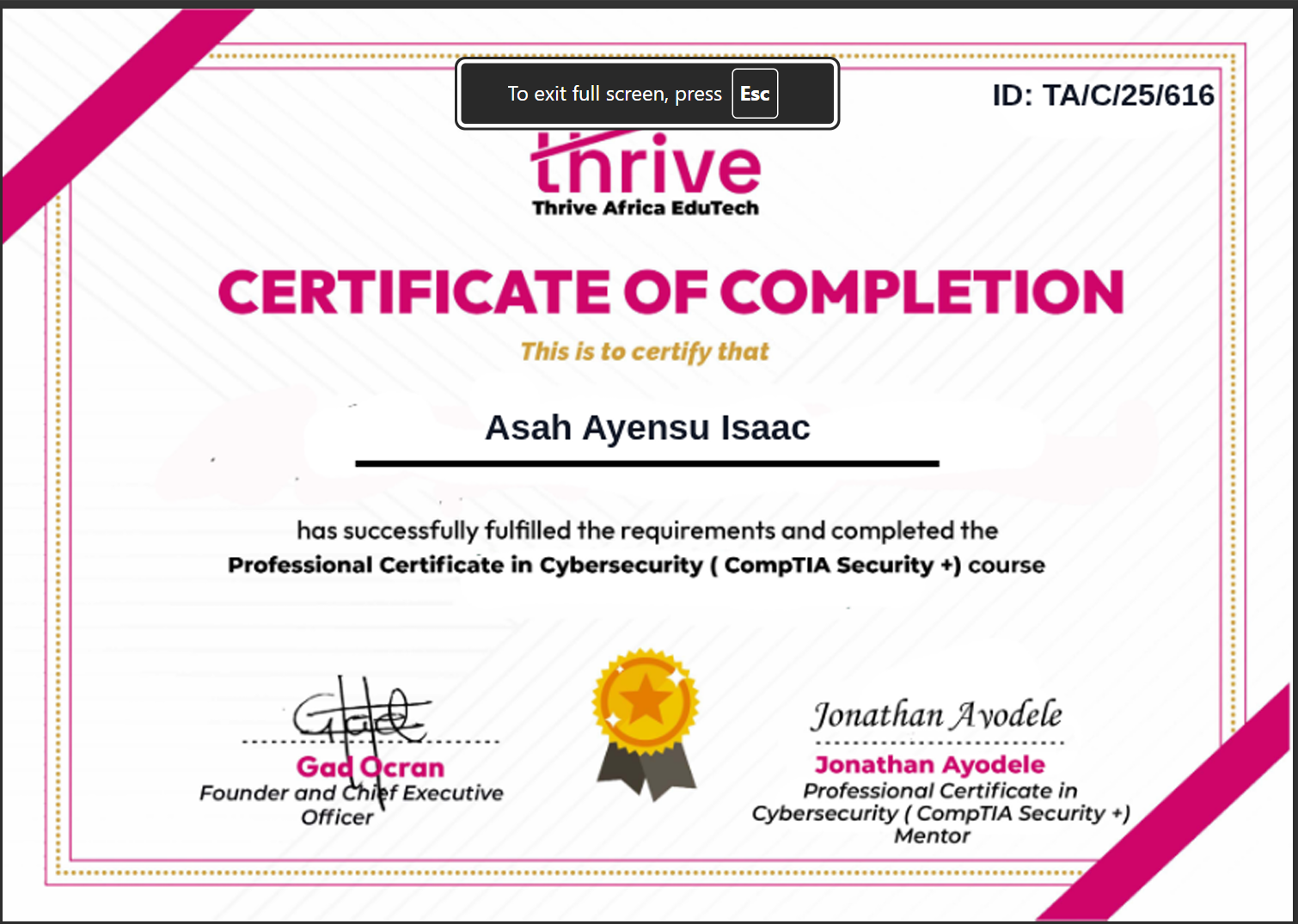 Professional Certificate in Cybersecurity (CompTIA+ Security)